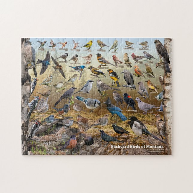 Backyard Birds of Montana Jigsaw Puzzle (Horizontal)