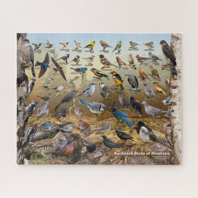 Backyard Birds of Montana Jigsaw Puzzle (Horizontal)