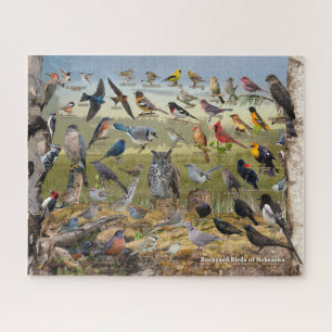 Backyard Birds of Nebraska Jigsaw Puzzle