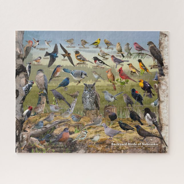 Backyard Birds of Nebraska Jigsaw Puzzle (Horizontal)