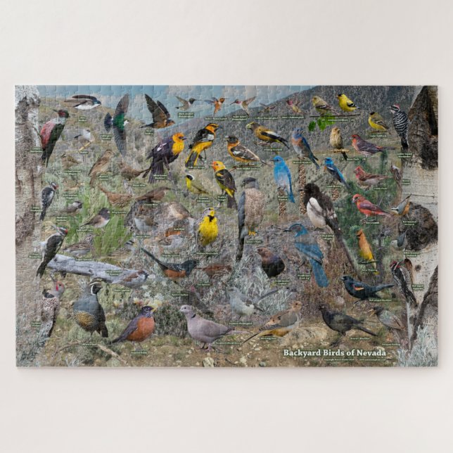 Backyard Birds of Nevada Jigsaw Puzzle (Horizontal)