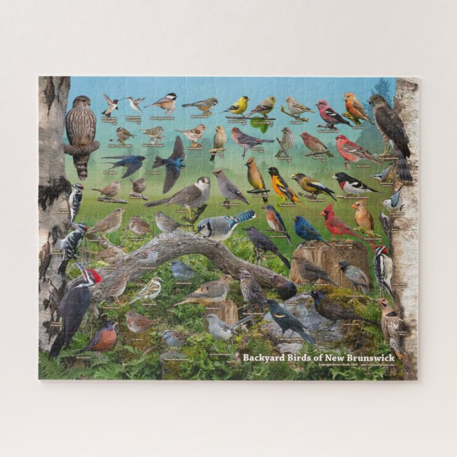 Backyard Birds of New Brunswick Jigsaw Puzzle (Horizontal)