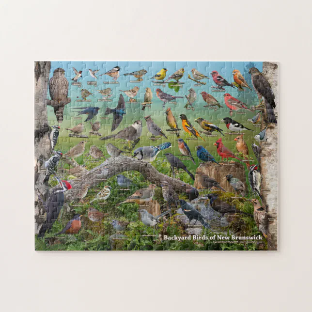 Canada Lobster Shediac New Brunswick Jigsaw Puzzle – 1000 Piece Wooden Travel Souvenir