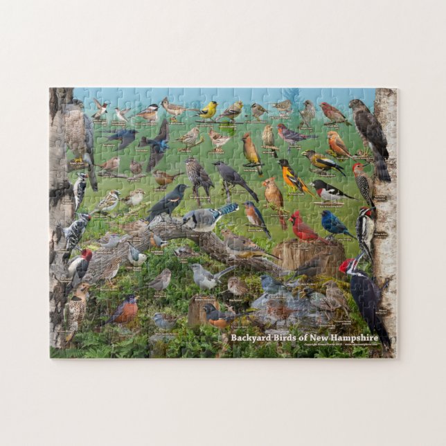 Backyard Birds of New Hampshire Jigsaw Puzzle (Horizontal)