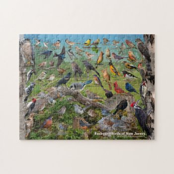 Backyard Birds Of New Jersey Jigsaw Puzzle by raincoastphoto at Zazzle