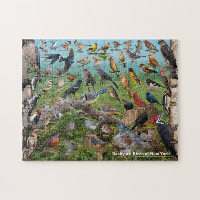 Backyard Birds of New York Puzzle (Horizontal)
