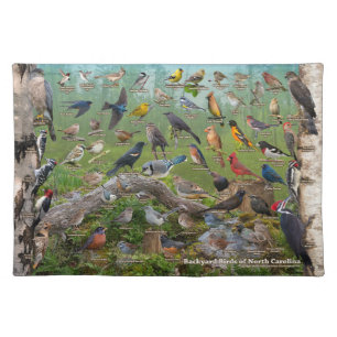 Backyard Birds of North Carolina Cloth Placemat