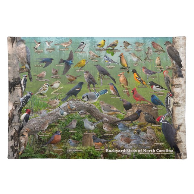 Backyard Birds of North Carolina Cloth Placemat (Front)