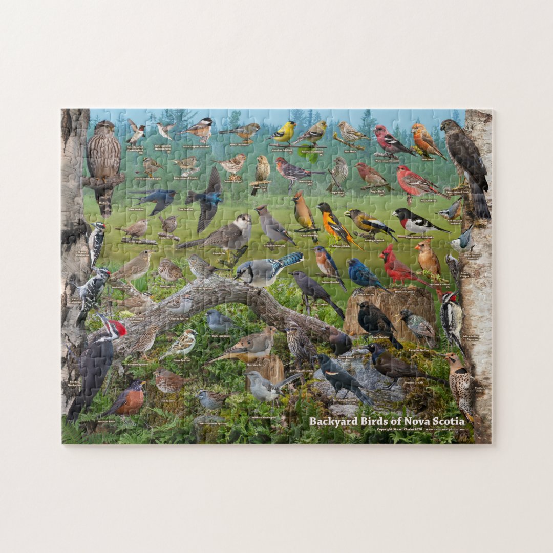 Backyard Birds of Nova Scotia Jigsaw Puzzle Zazzle