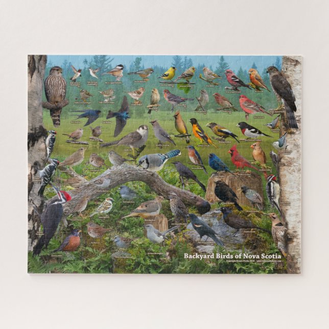 Backyard Birds of Nova Scotia Jigsaw Puzzle (Horizontal)