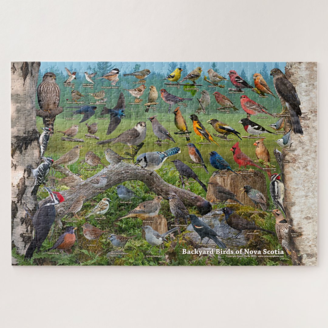 Backyard Birds of Nova Scotia Jigsaw Puzzle Zazzle