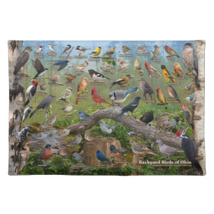 Backyard Birds of Ohio Cloth Placemat