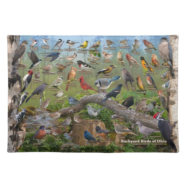 Backyard Birds of Ohio Cloth Placemat (Front)