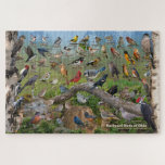 Backyard Birds of Ohio Puzzle<br><div class="desc">This challenging 20" x 30" puzzle showcases the Backyard Birds of Ohio.   A great way to learn the birds that visit your backyard feeders.   Puzzles are an excellent way to pass some time while at home with the kids.</div>