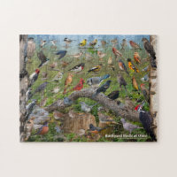 Backyard Birds of Ohio Puzzle