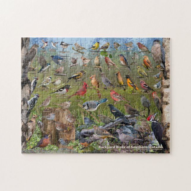 Backyard Birds of Ontario Puzzle (Horizontal)