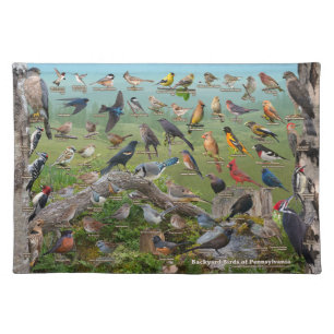 Backyard Birds of Pennsylvania Cloth Placemat
