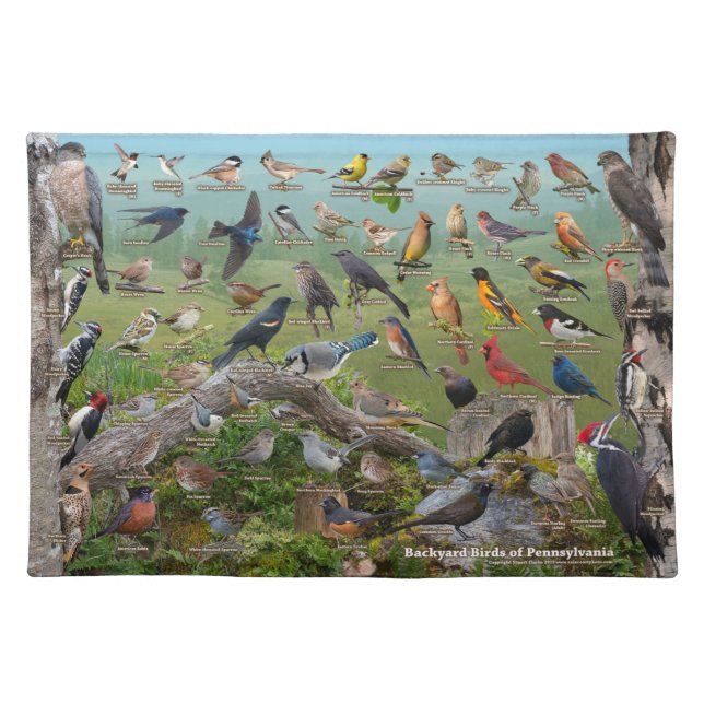 Backyard Birds of Pennsylvania Cloth Placemat (Front)