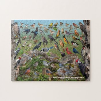 Backyard Birds Of Pennsylvania Jigsaw Puzzle by raincoastphoto at Zazzle