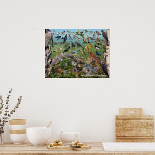 Backyard Birds of Pennsylvania Poster | Zazzle