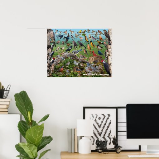Backyard Birds of Pennsylvania Poster Zazzle