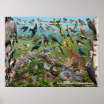 Backyard Birds Of Pennsylvania Poster at Zazzle