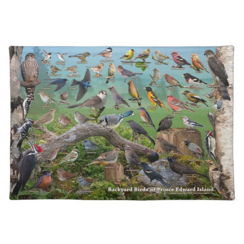 Backyard Birds of Prince Edward Island Cloth Placemat