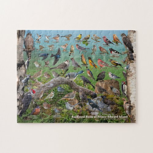 Backyard Birds of Prince Edward Island Jigsaw Puzzle