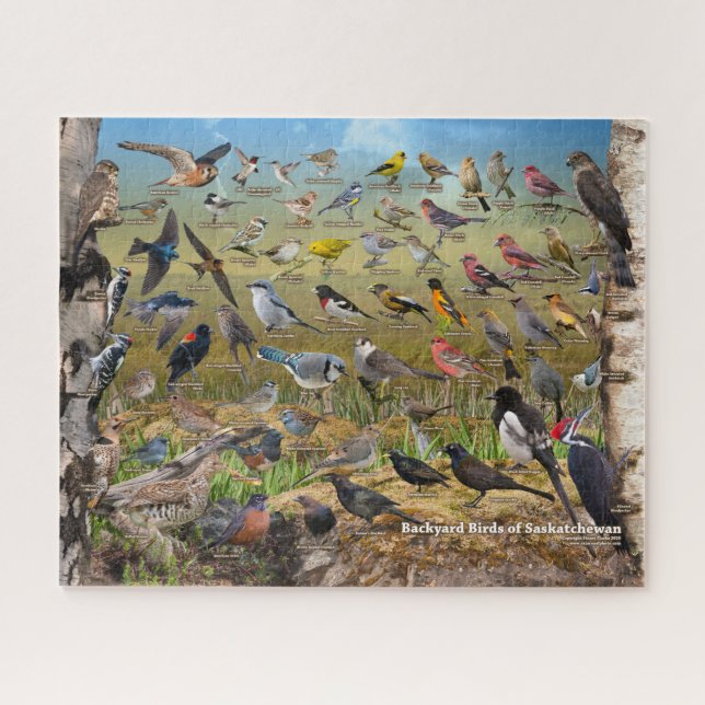 Backyard Birds of Saskatchewan Jigsaw Puzzle (Horizontal)