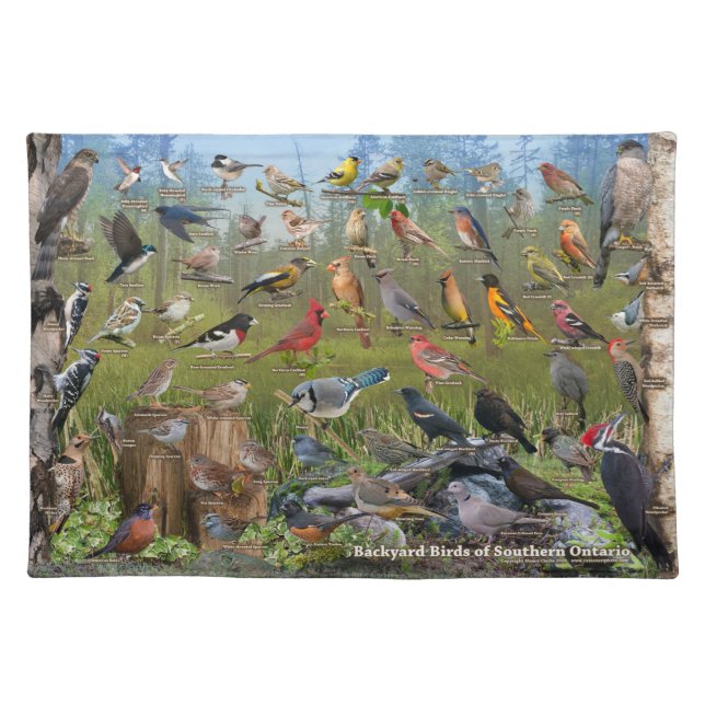 Backyard Birds of Southern Ontario Cloth Placemat (Front)