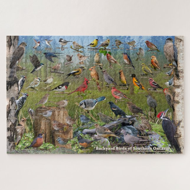 Backyard Birds of Southern Ontario Jigsaw Puzzle (Horizontal)