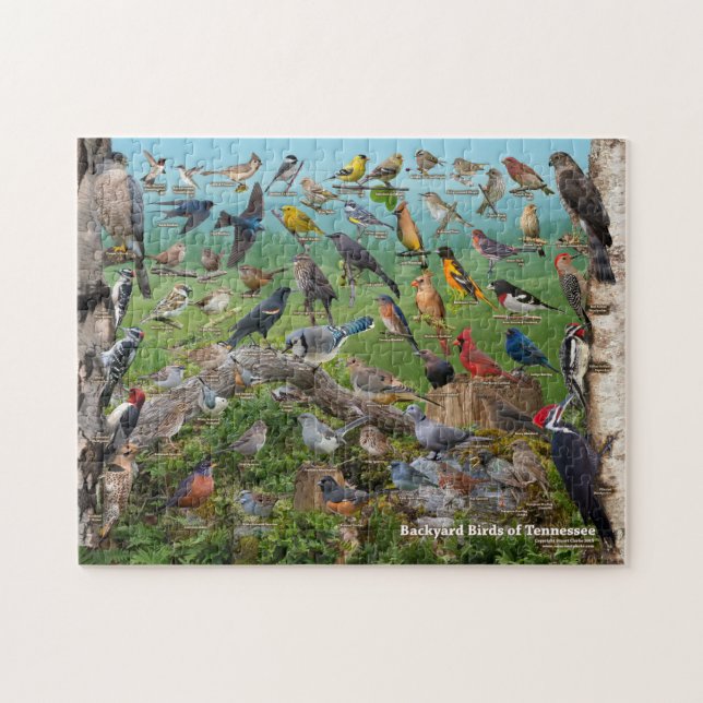 Backyard Birds of Tennessee Jigsaw Puzzle (Horizontal)