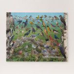 Backyard Birds of Tennessee Jigsaw Puzzle<br><div class="desc">This hard 16” x 20” 520 pcs puzzle show cases the Backyard Birds of Tennessee. A great way to learn the birds that visit your backyard feeders. Puzzles are an excellent way to pass some time while at home with the kids. On this puzzle you will learn many of your...</div>