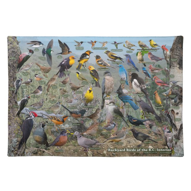 Backyard Birds of the BC Interior Cloth Placemat (Front)
