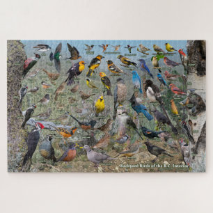 Backyard Birds of the BC Interior Jigsaw Puzzle