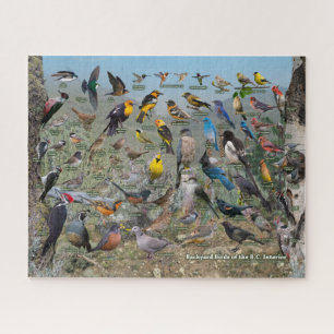 Backyard Birds of the BC interior Jigsaw Puzzle