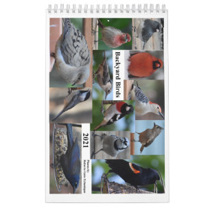 Backyard Birds of the Mid-Atlantic Calendar