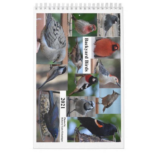 Backyard Birds of the Mid_Atlantic Calendar