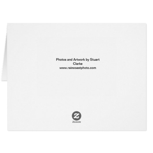 Backyard Birds of the West Jumbo card (Back Horizontal)