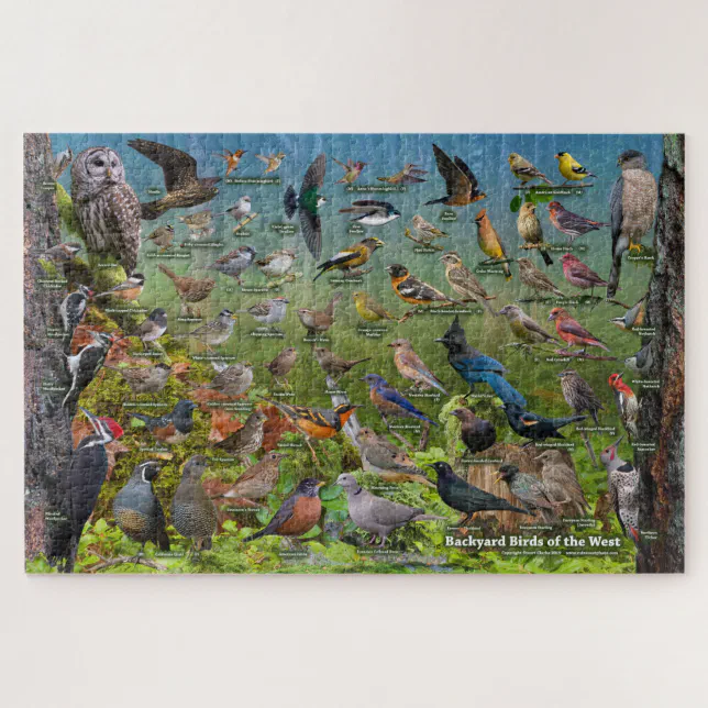 Backyard Birds of the West Puzzle | Zazzle