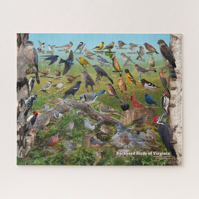 Backyard Birds of Virginia Jigsaw Puzzle (Horizontal)