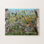 Backyard Birds of Virginia Jigsaw Puzzle<br><div class="desc">This fun 11" x 14" puzzle showcases the Backyard Birds of Virginia.   A great way to learn the birds that visit your backyard feeders.   Puzzles are an excellent way to pass some time while at home with the kids.</div>