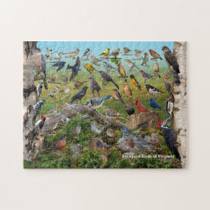 Backyard Birds of Virginia Jigsaw Puzzle