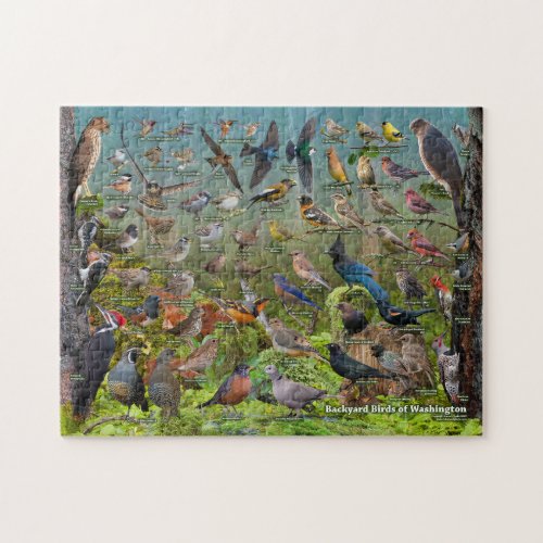 Backyard Birds of Washington Jigsaw Puzzle