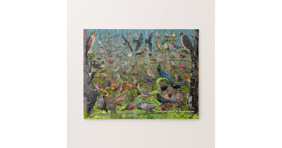 Backyard Birds of Washington Jigsaw Puzzle | Zazzle
