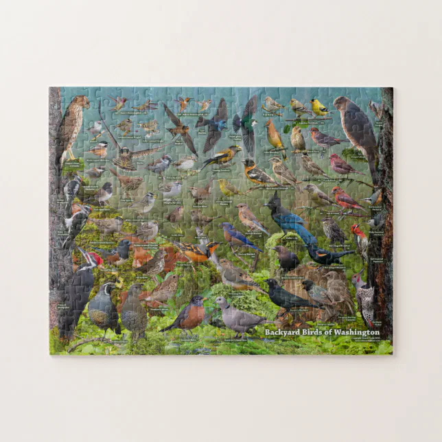 Backyard Birds of Washington Jigsaw Puzzle | Zazzle