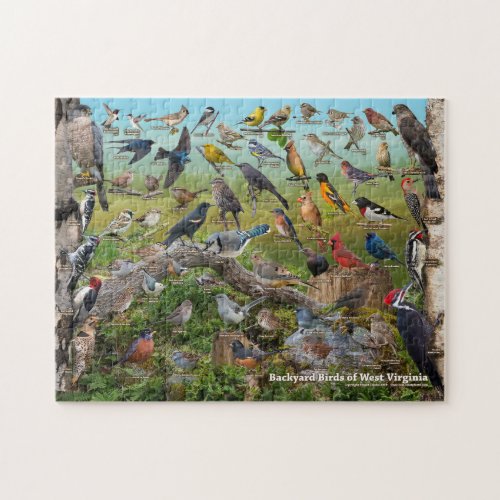 Backyard Birds of West Virginia Jigsaw Puzzle