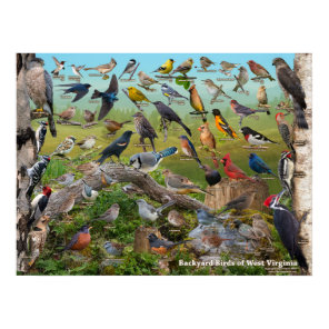 Backyard Birds of West Virginia Poster