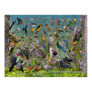 Backyard Birds of Western Oregon Poster