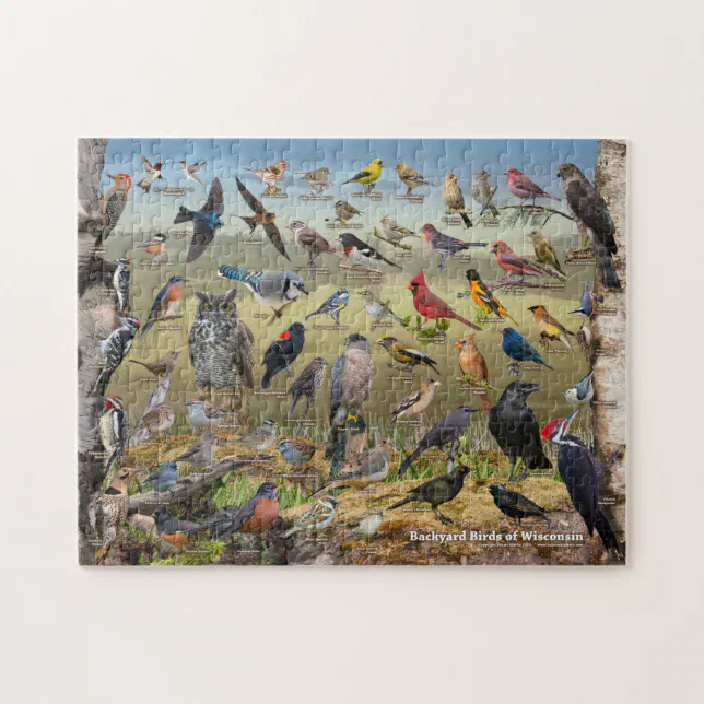 Backyard Birds of Wisconsin Jigsaw Puzzle | Zazzle